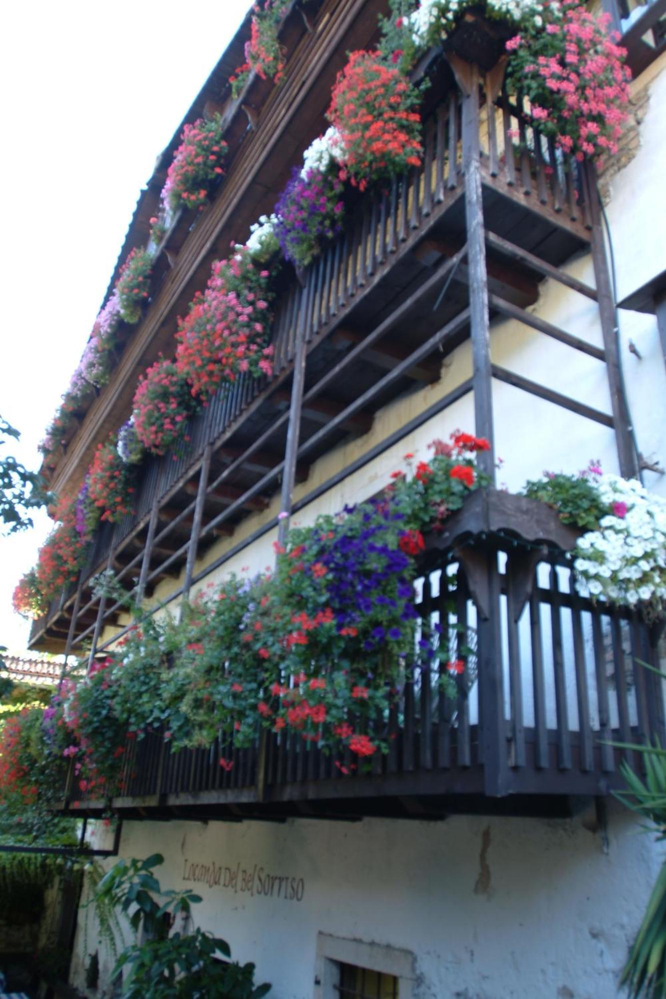 Villa Bertagnolli - Locanda Del Bel Sorriso Trydent Zewnętrze zdjęcie
