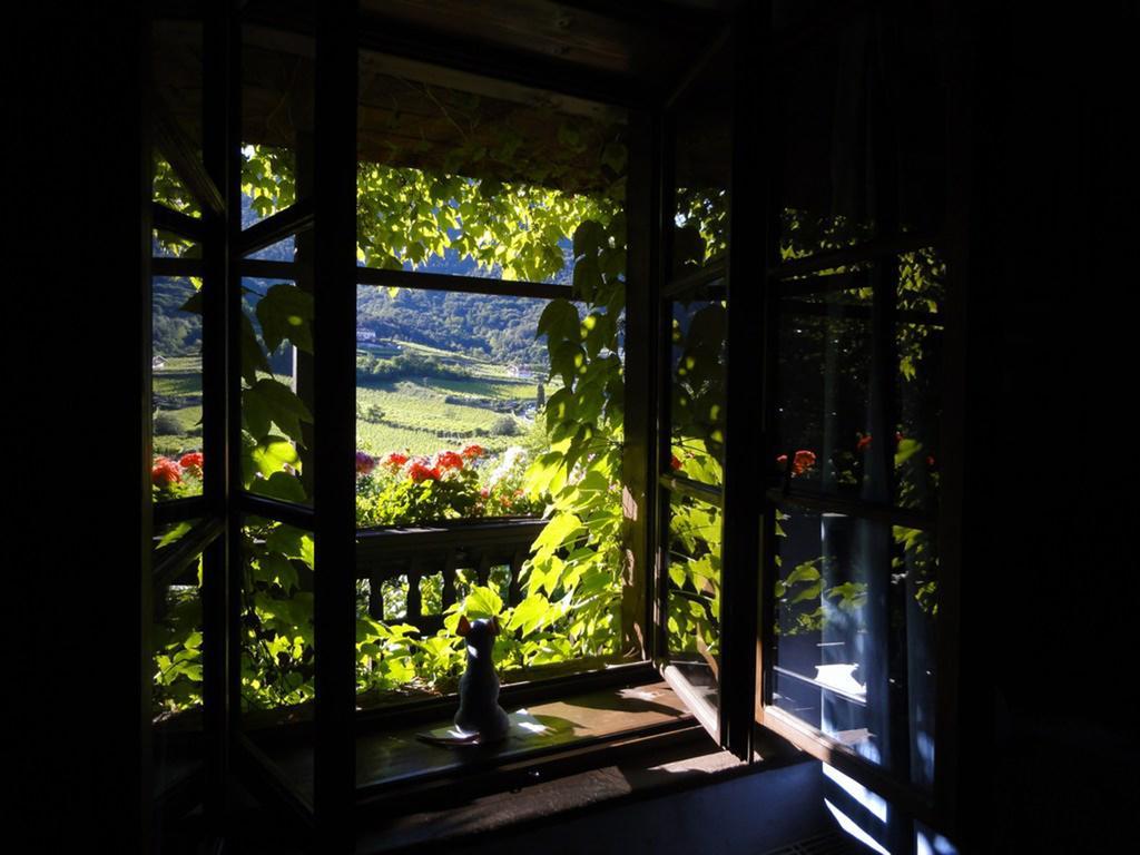 Villa Bertagnolli - Locanda Del Bel Sorriso Trydent Zewnętrze zdjęcie